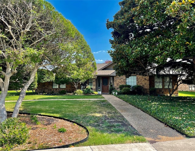 obstructed view of property with a front yard