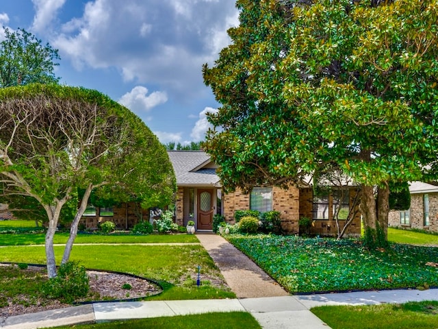 view of property hidden behind natural elements featuring a front yard