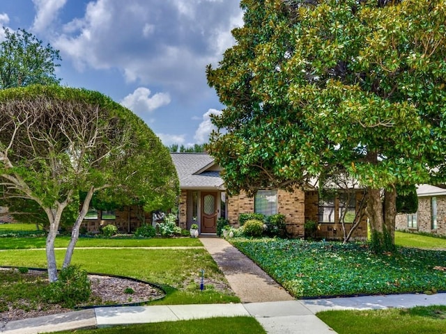 obstructed view of property with a front lawn