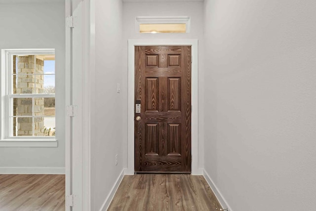 doorway featuring light hardwood / wood-style flooring and a wealth of natural light