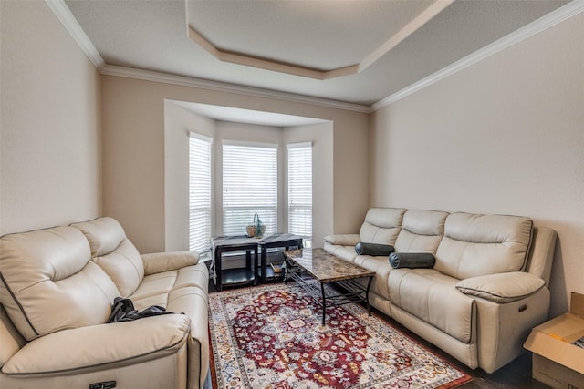 living area featuring a textured ceiling, a raised ceiling, and crown molding