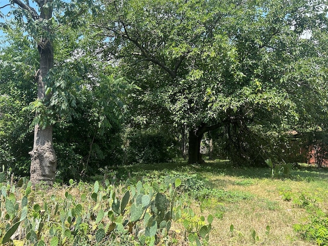 6 N Ravinia Dr, Dallas, TX 75211