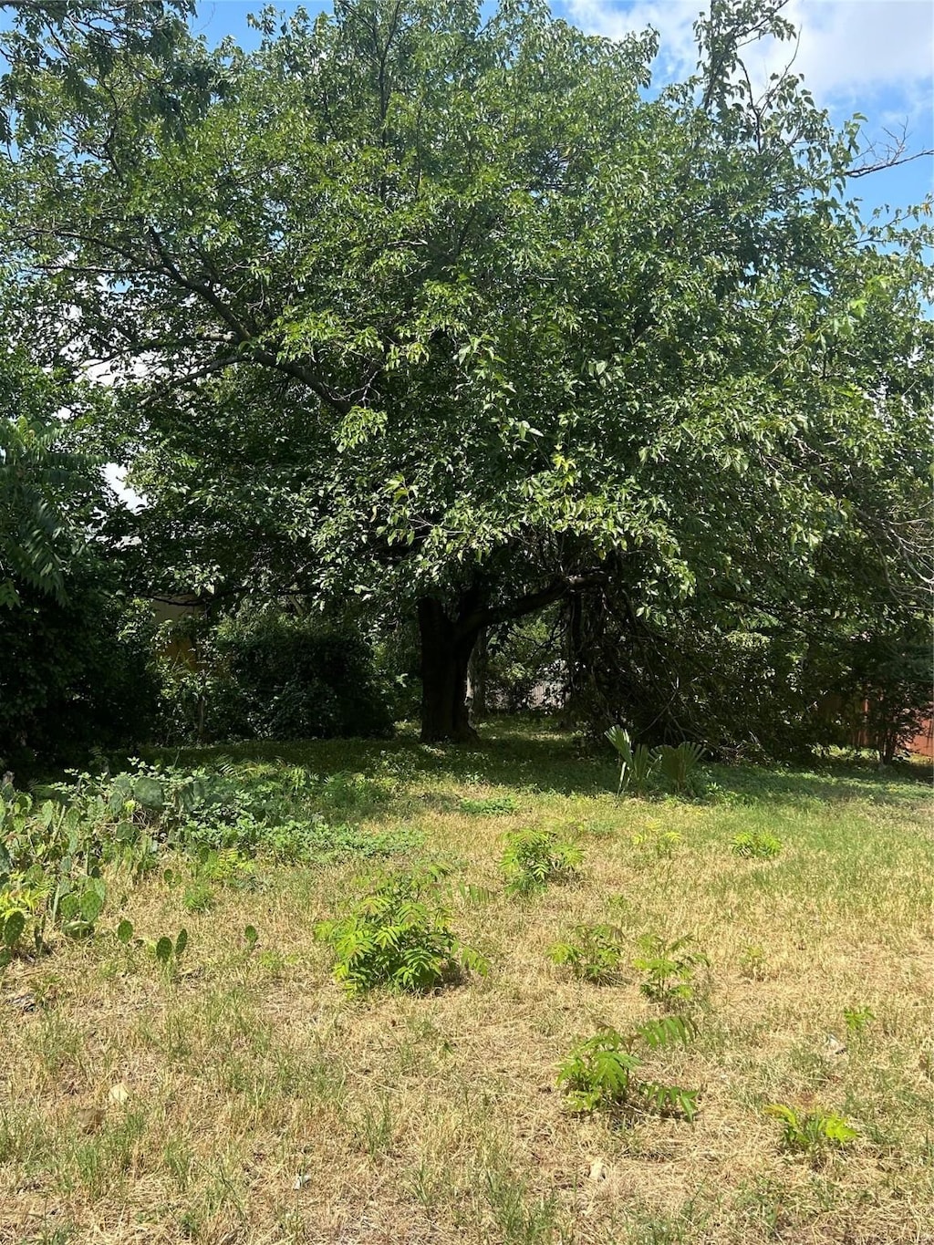 6 N Ravinia Dr, Dallas, TX 75211