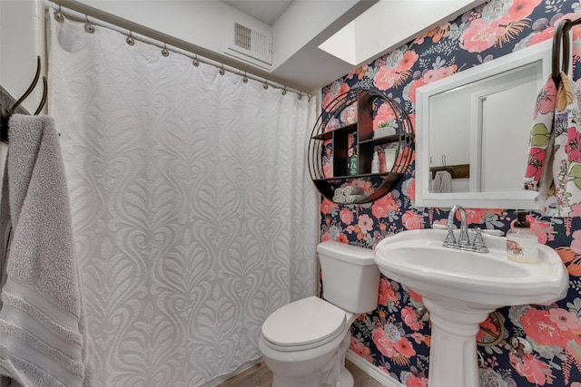 bathroom with toilet and a skylight