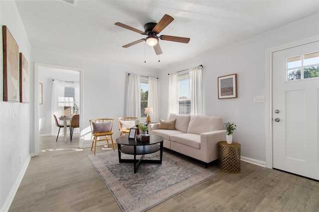 living room featuring ceiling fan, light wood-type flooring, and a wealth of natural light