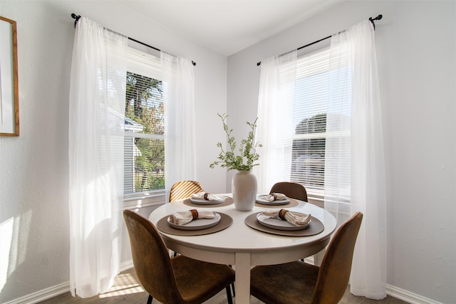 dining space with a wealth of natural light