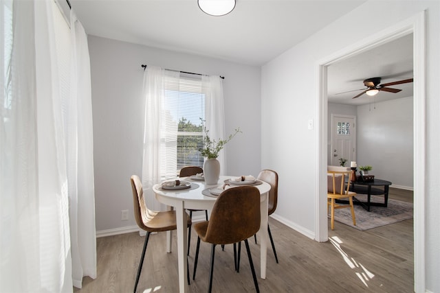 dining room featuring ceiling fan and light hardwood / wood-style flooring