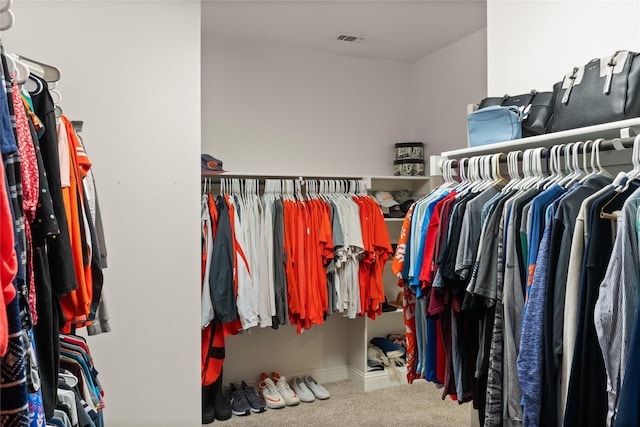 spacious closet with carpet