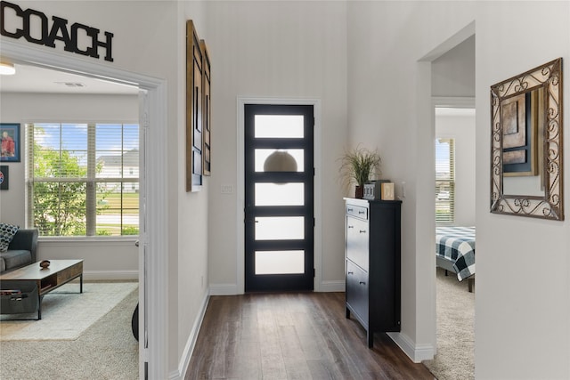 entryway featuring dark wood-type flooring