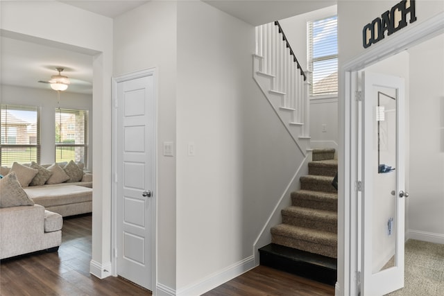 staircase with hardwood / wood-style flooring