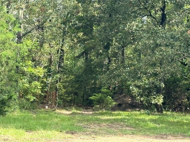 view of local wilderness