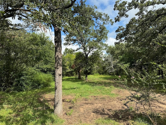 view of landscape