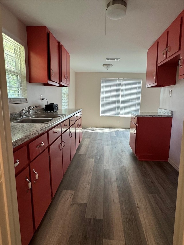 kitchen with dark hardwood / wood-style flooring and sink