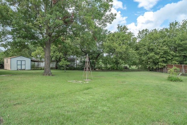 view of yard featuring a shed