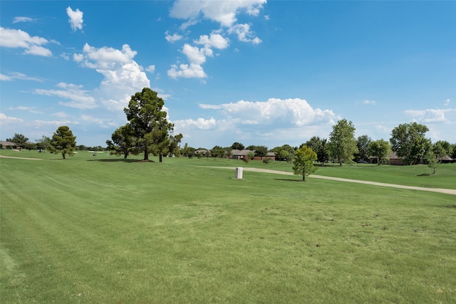 view of community with a lawn