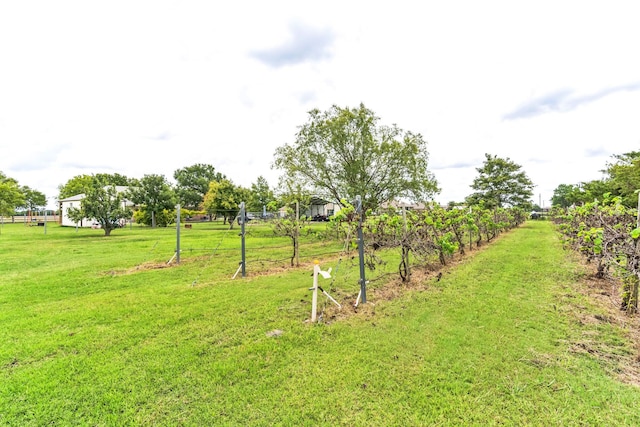 view of yard featuring a rural view