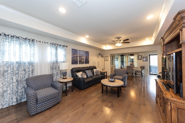 living room featuring a raised ceiling, a healthy amount of sunlight, and dark hardwood / wood-style flooring