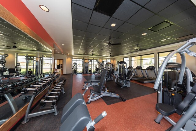 exercise room with a drop ceiling and ceiling fan