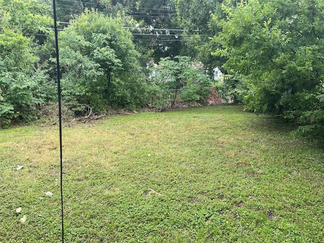 2788 Custer, Dallas, TX 75216 - view of green lawn