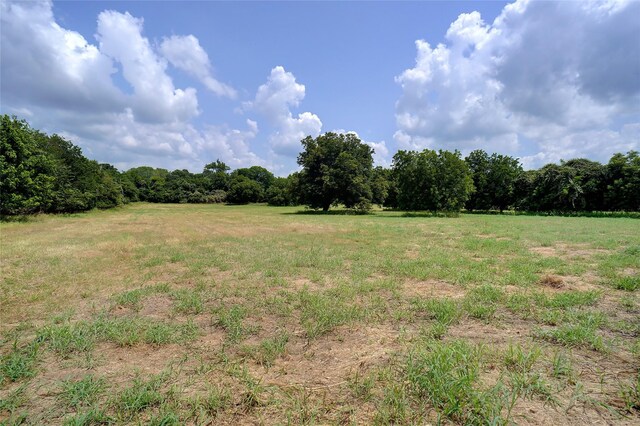 view of yard featuring a rural view