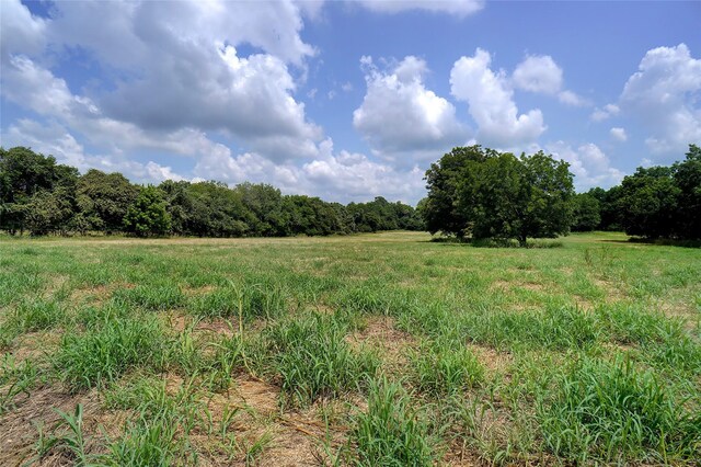 view of local wilderness featuring a rural view