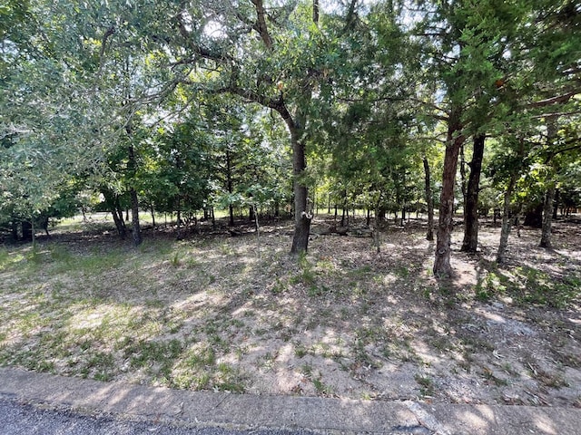 450 Chelsea Ct, Athens TX, 75752 land for sale