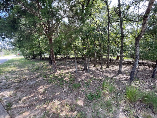 Listing photo 3 for 450 Chelsea Ct, Athens TX 75752