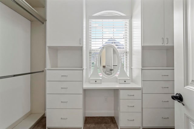 8604 Grassland Dr, Mckinney, TX 75070 - view of spacious closet