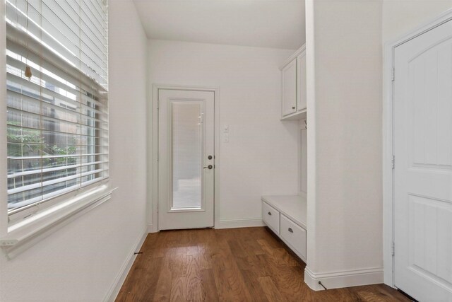 mudroom with a healthy amount of sunlight and dark hardwood / wood-style floors