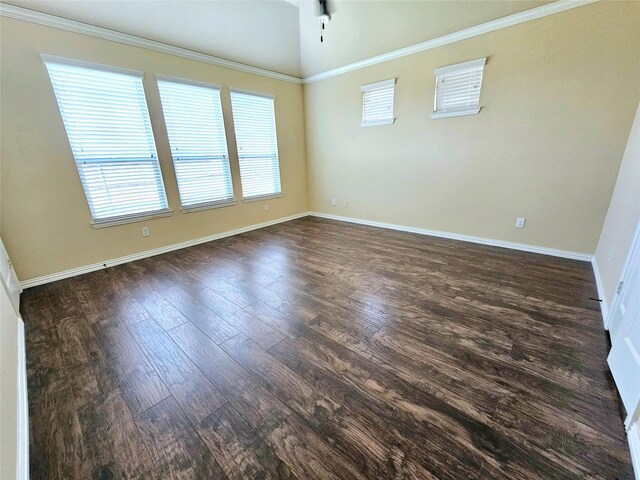 walk in closet with carpet floors