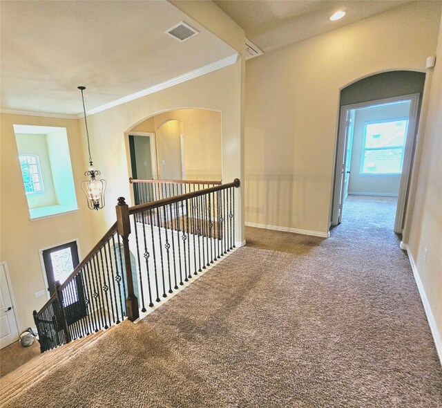 corridor with carpet, a chandelier, and ornamental molding