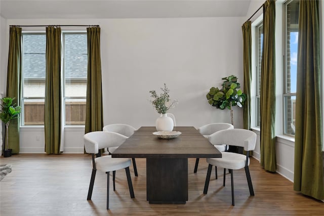 dining room with light hardwood / wood-style flooring and a healthy amount of sunlight