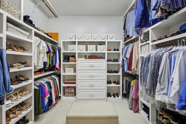 view of spacious closet