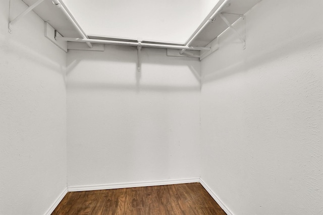 walk in closet with wood-type flooring