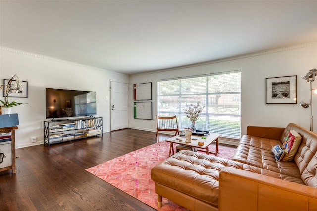 living room with crown molding and wood-type flooring