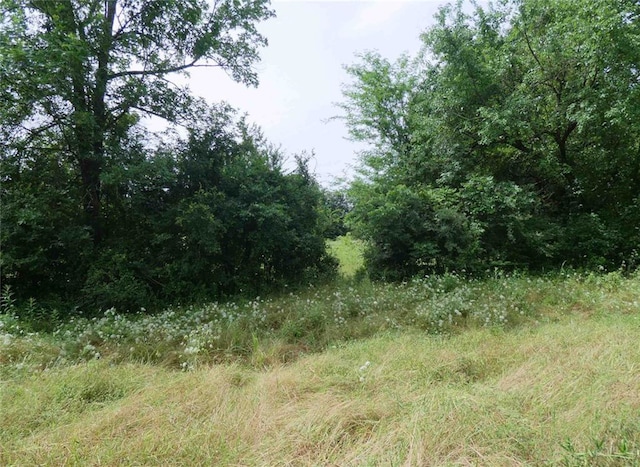 Listing photo 3 for TBD Fm 71 W, Talco TX 75487