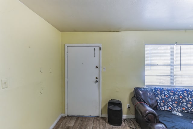 entryway featuring hardwood / wood-style floors