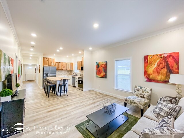 living room featuring light hardwood / wood-style flooring, sink, and ornamental molding