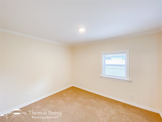 carpeted empty room with crown molding