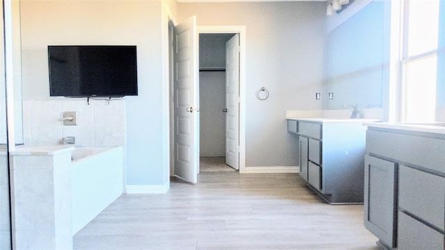 bathroom featuring wood-type flooring, sink, and a washtub