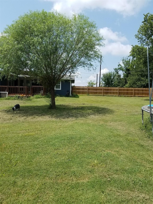 view of yard with a trampoline