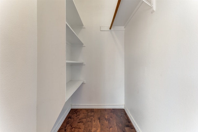 spacious closet featuring dark hardwood / wood-style floors