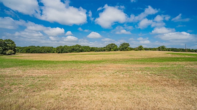 Listing photo 3 for TBD1 Briar Rd, Azle TX 76020