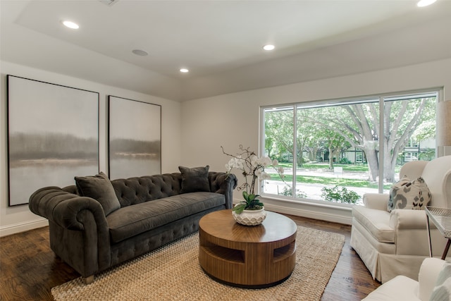 living room with dark hardwood / wood-style floors and a wealth of natural light