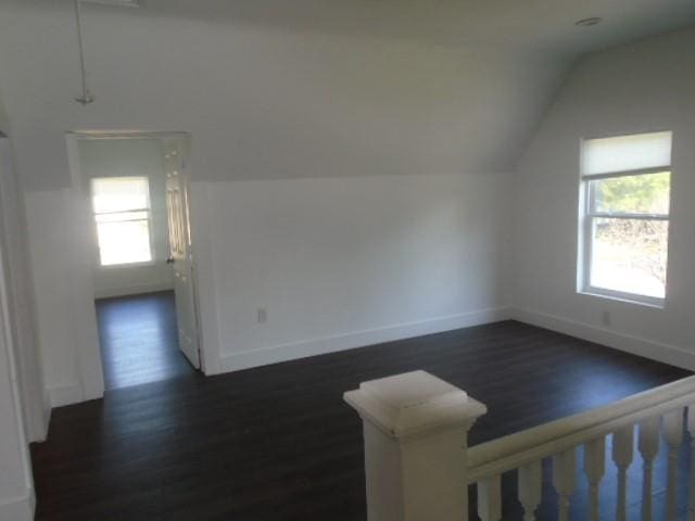 additional living space with lofted ceiling, dark hardwood / wood-style flooring, and a healthy amount of sunlight