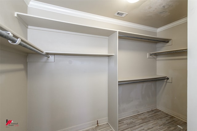 walk in closet featuring wood-type flooring