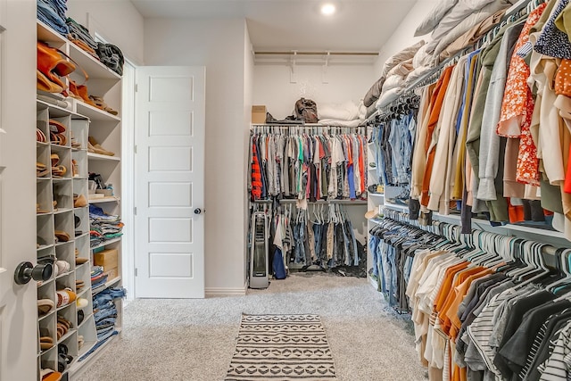 walk in closet featuring carpet