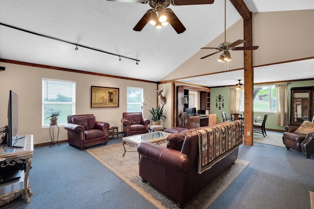 carpeted living room featuring lofted ceiling, track lighting, and a textured ceiling