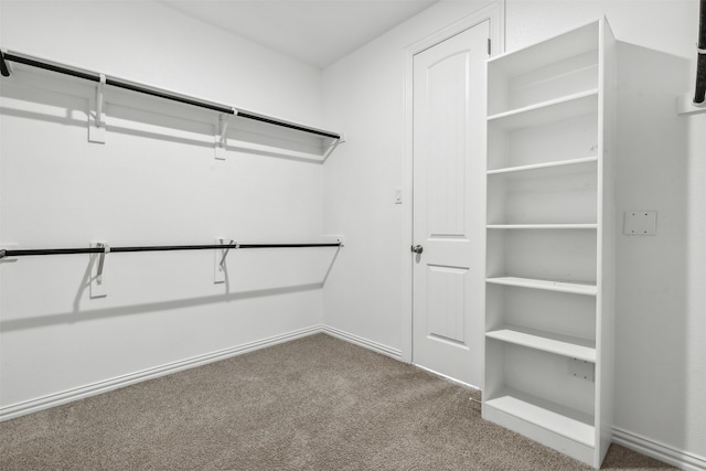 spacious closet featuring carpet flooring