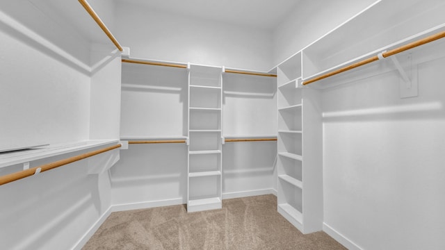 walk in closet featuring light colored carpet